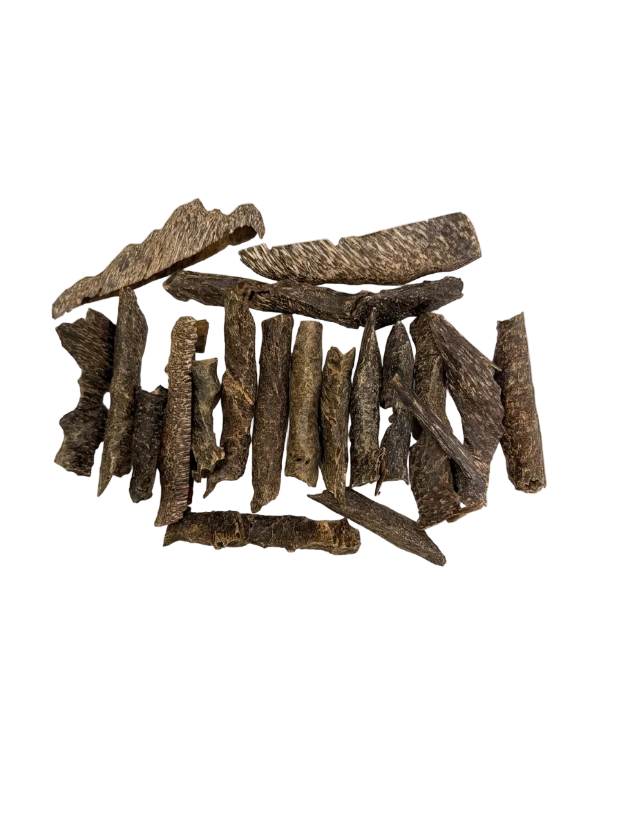عود تراد الحصن