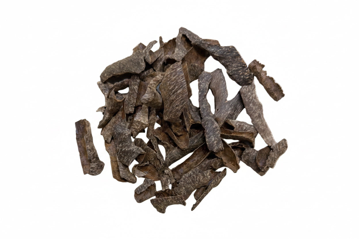 عود تراد الرئاسة